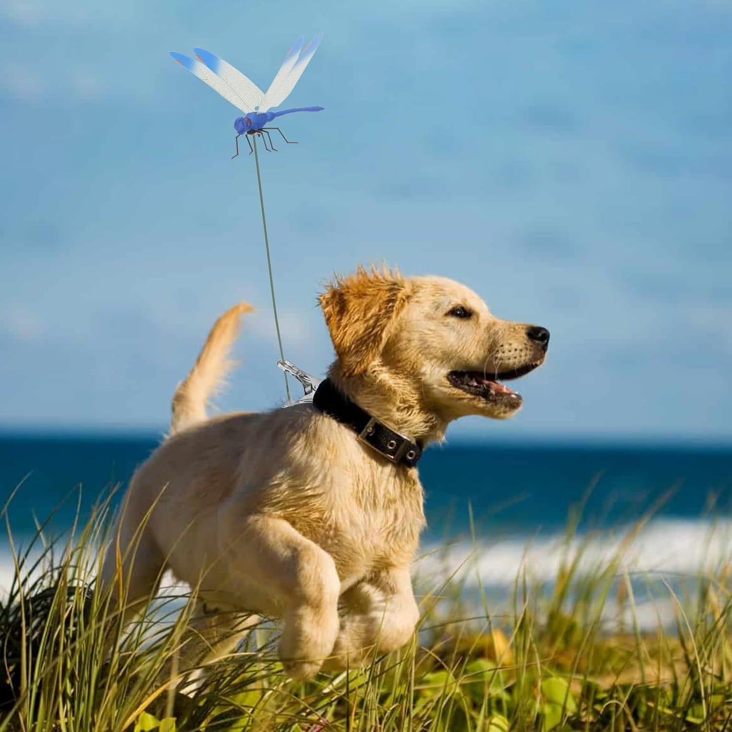 Dragonfly Clip Bug Repe Llent - 3D Dragonfly Garden Decor Deer and Horse Fly Deterrent for Indoor/Outdoor Garden